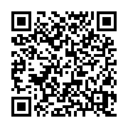 QR code for 291INT