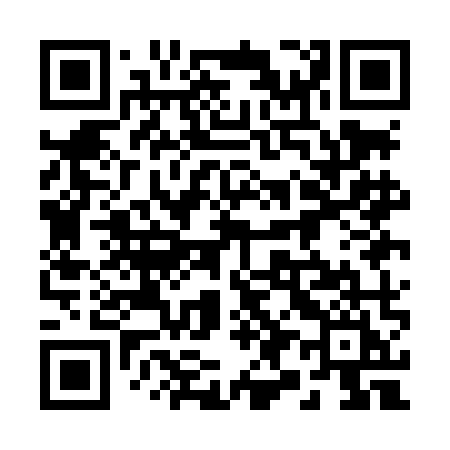 QR code for 291LMI