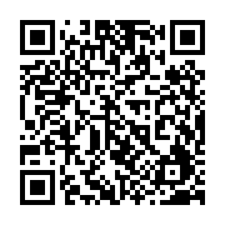 QR code for 291PRF