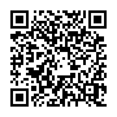 QR code for 291SIV