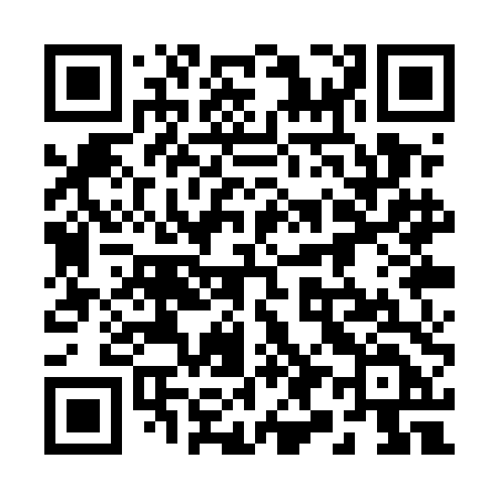 QR code for 291UDD