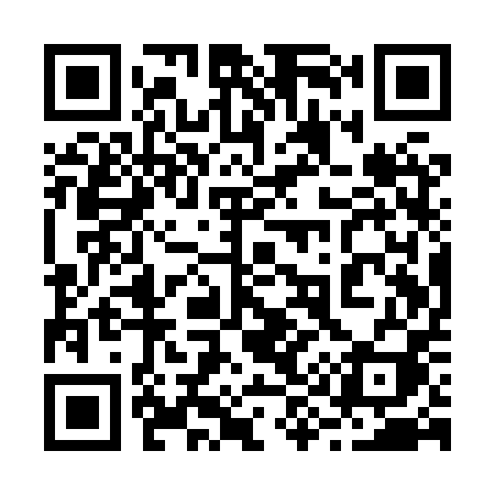 QR code for 291XPI