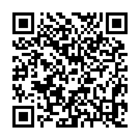 QR code for 293JOK