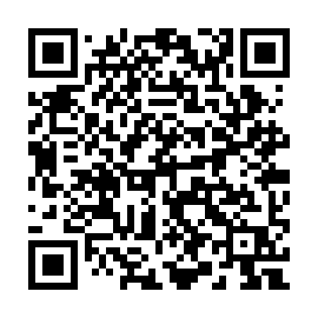 QR code for 293RIP