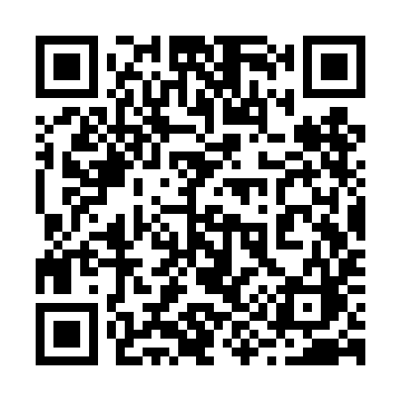 QR code for 293TIC