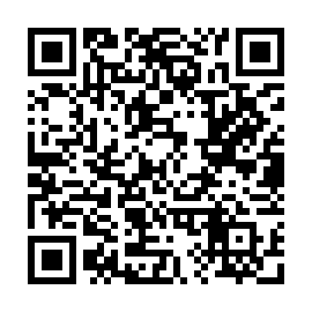 QR code for 293YFQ