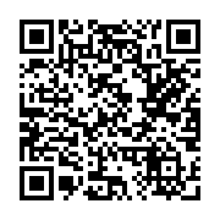 QR code for 294BOY