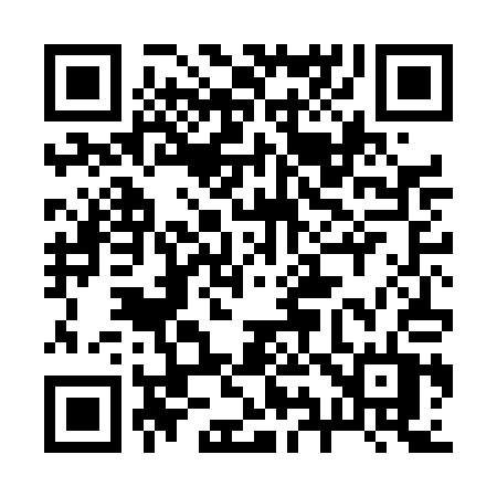 QR code for 294DAT