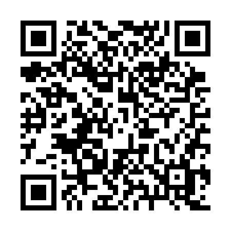 QR code for 294SGL