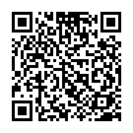 QR code for 295AWH