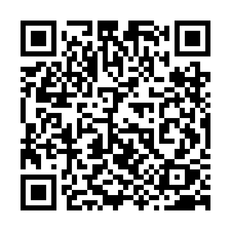 QR code for 295CCX
