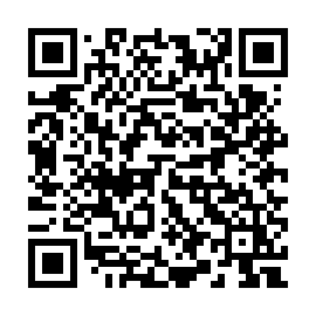QR code for 295FUZ