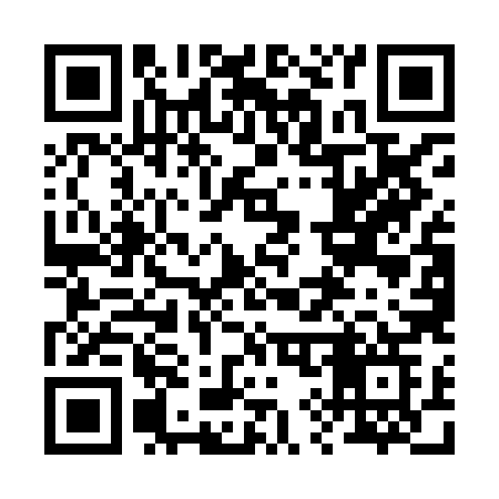 QR code for 295HHG