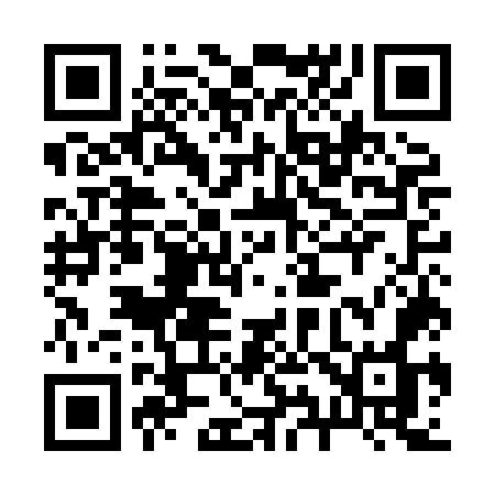 QR code for 295HOO