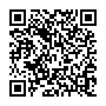QR code for 295IAN
