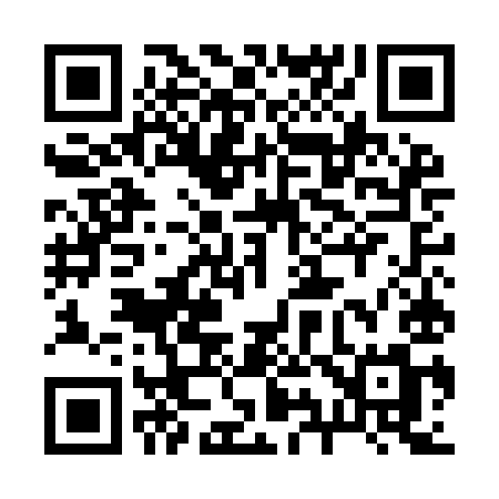 QR code for 295IIM