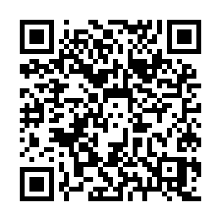 QR code for 295IKS
