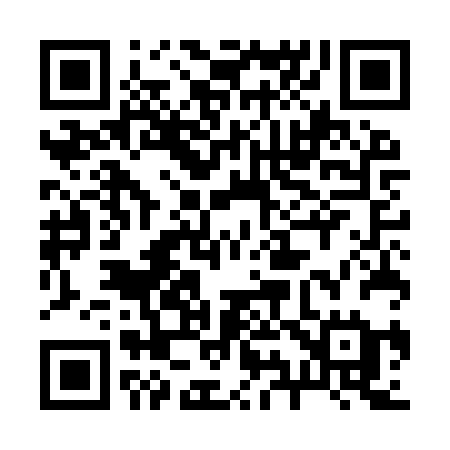 QR code for 295IRE