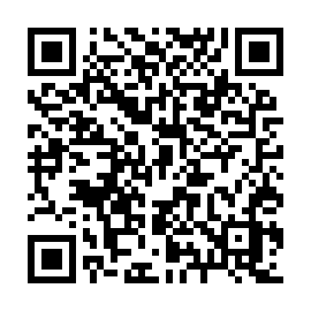 QR code for 295ITZ