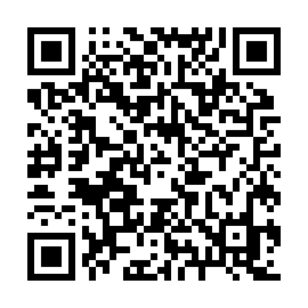QR code for 295JZO