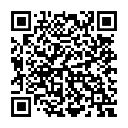 QR code for 295LQM