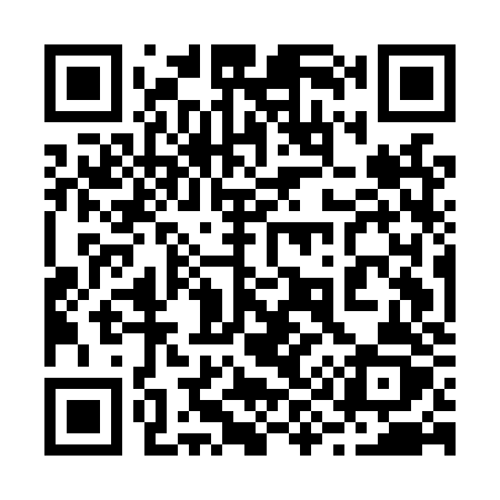 QR code for 295LZZ