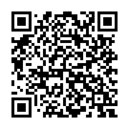 QR code for 295MRU