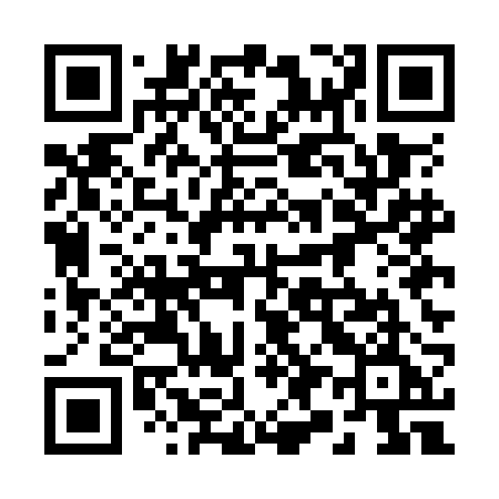 QR code for 295OBE