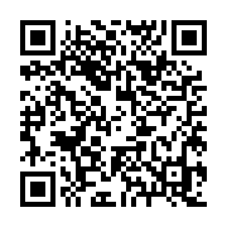 QR code for 295PJO