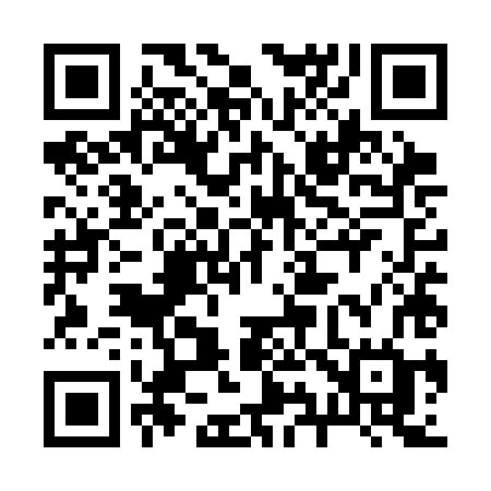 QR code for 295SHG