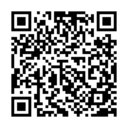 QR code for 295SMH