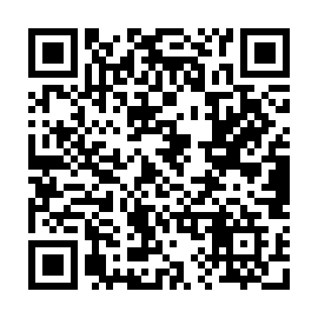 QR code for 295SOG