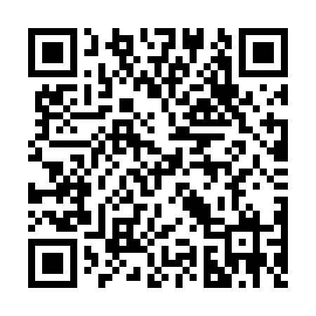 QR code for 295TFX