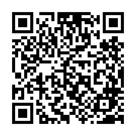 QR code for 295TLN