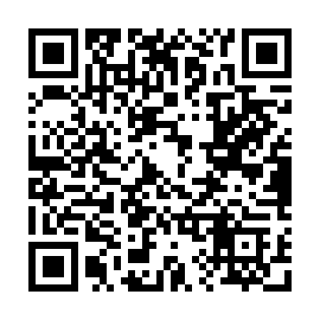 QR code for 295VDC