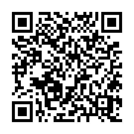 QR code for 295VOT