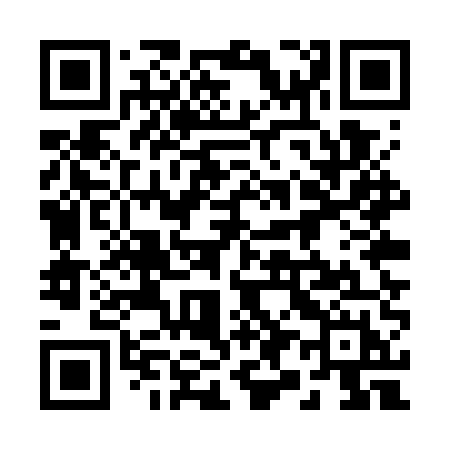 QR code for 295WUH