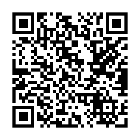 QR code for 295XGD