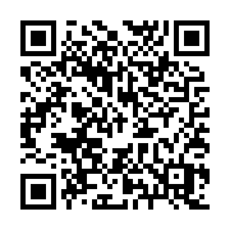 QR code for 295XPT
