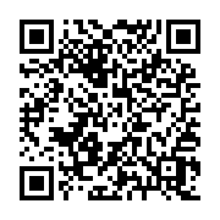 QR code for 295YAV