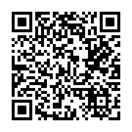 QR code for 296ICO
