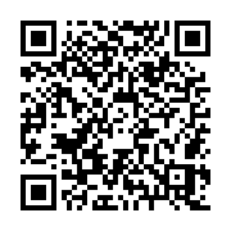 QR code for 299POS
