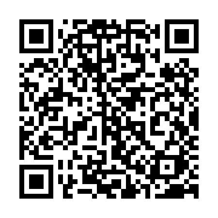 QR code for 303PZI