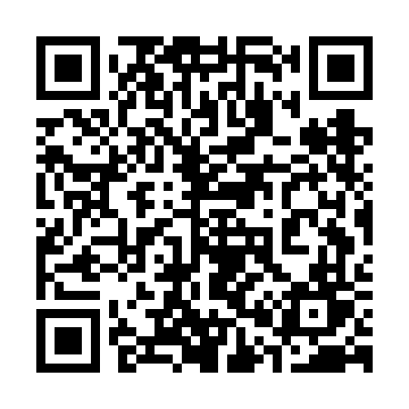QR code for 307FFT