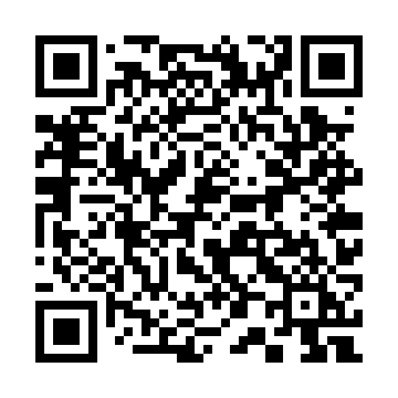 QR code for 307PZI