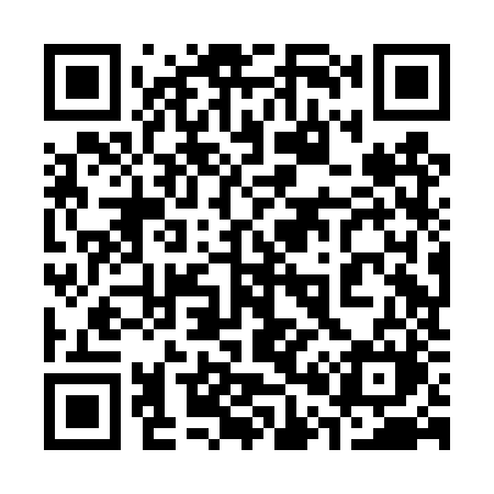 QR code for 308DZM
