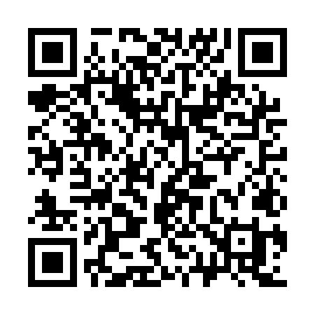 QR code for 311ALI