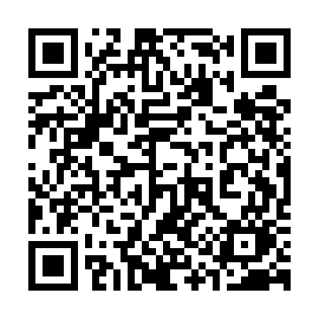 QR code for 311EGO