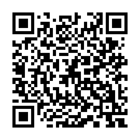 QR code for 311FIO