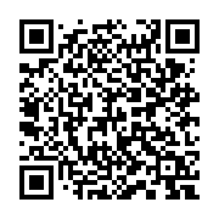 QR code for 311FKT